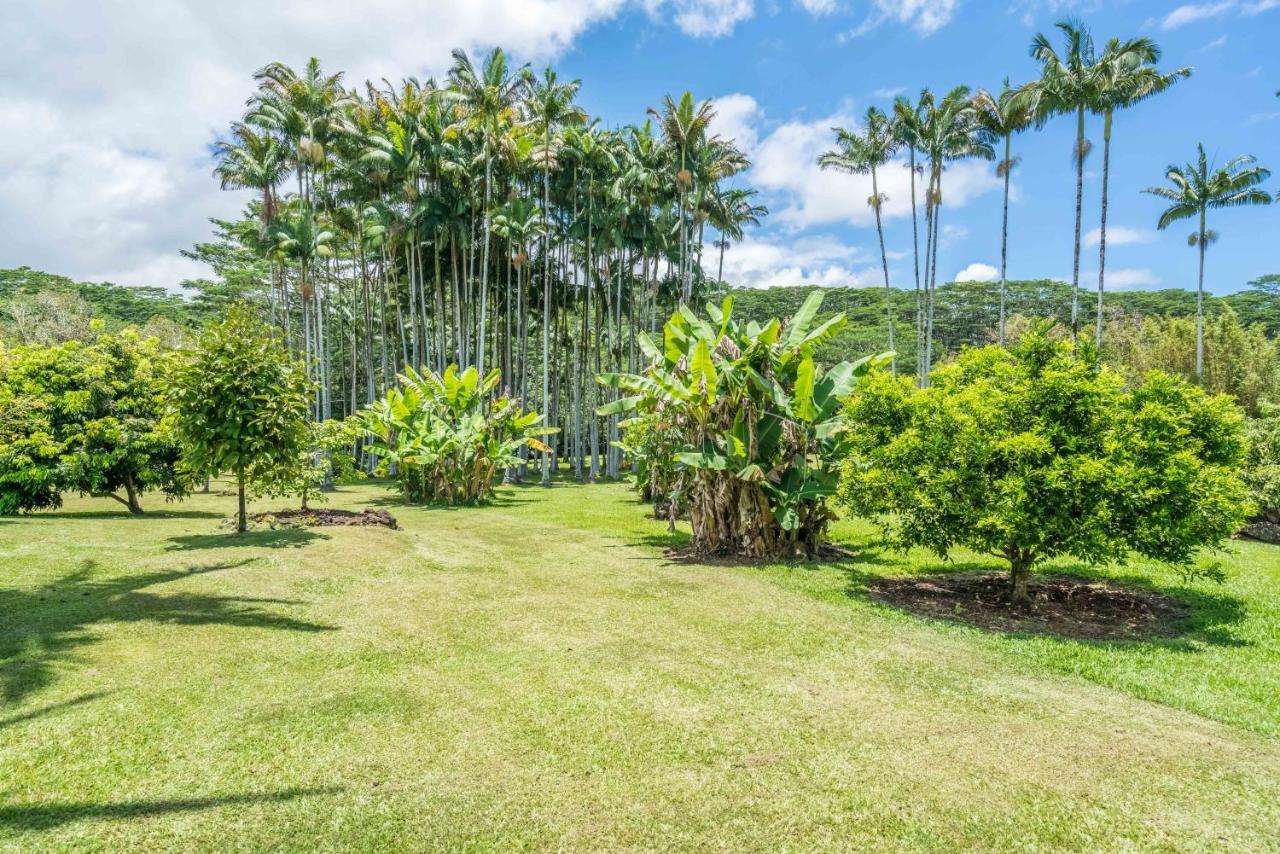هيلو Old Hawaiian Bed And Breakfast المظهر الخارجي الصورة