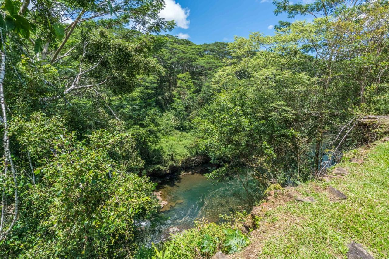 هيلو Old Hawaiian Bed And Breakfast المظهر الخارجي الصورة