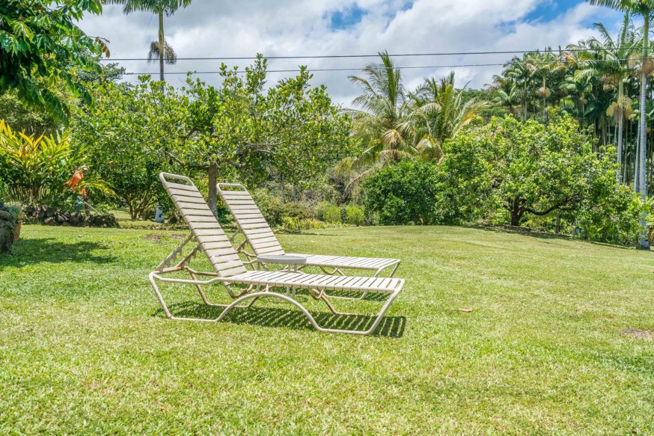 هيلو Old Hawaiian Bed And Breakfast المظهر الخارجي الصورة