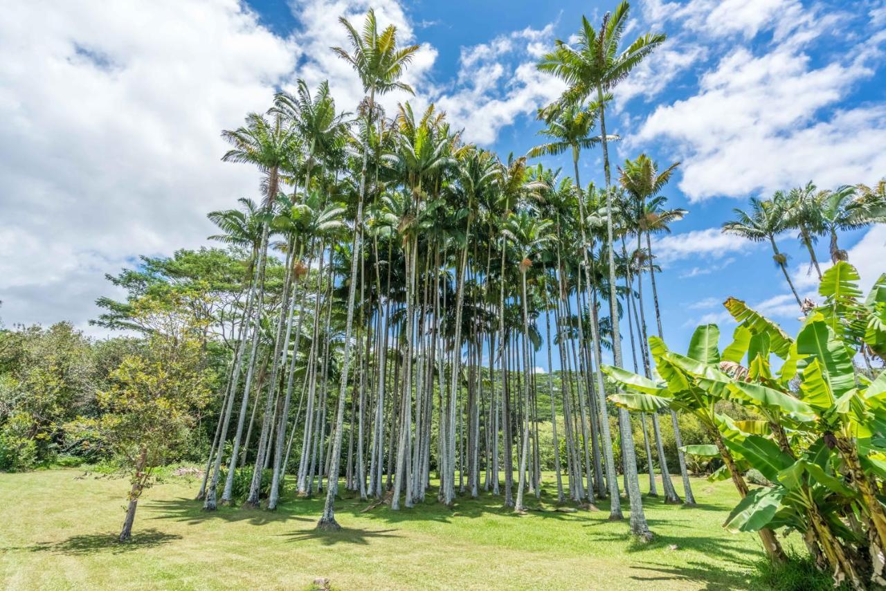 هيلو Old Hawaiian Bed And Breakfast المظهر الخارجي الصورة
